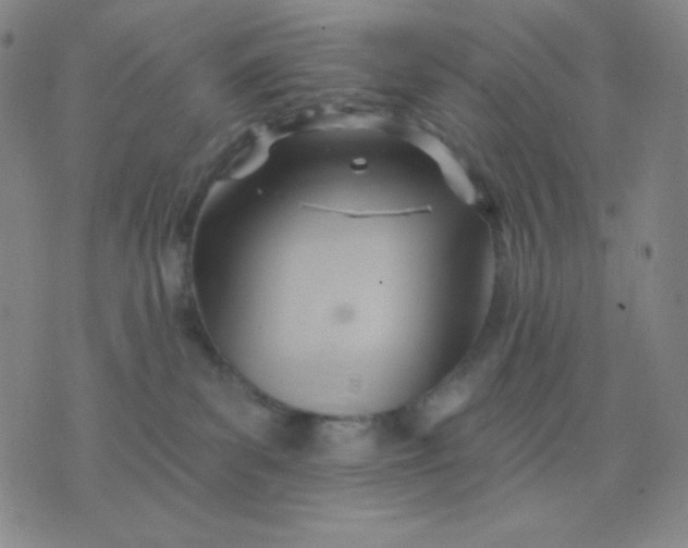 X0000076220139200610122059