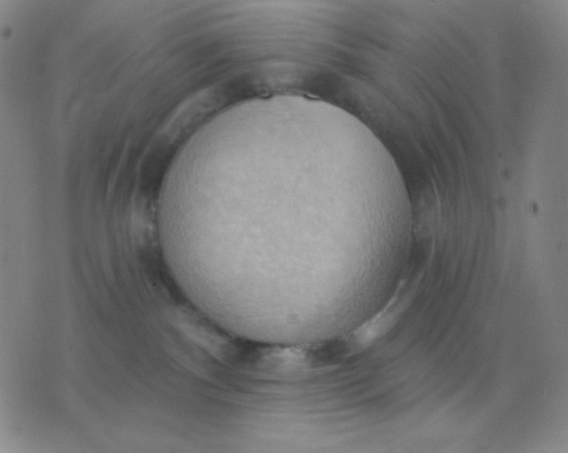 X0000076220140200610122059