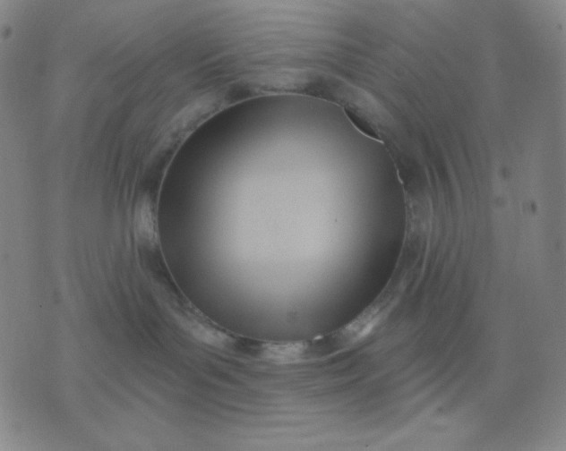 X0000076220143200610122059