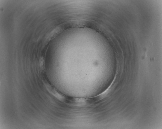 X0000076220144200610122059