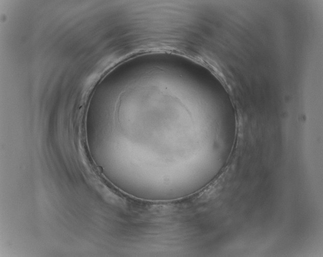 X0000076220145200610122058