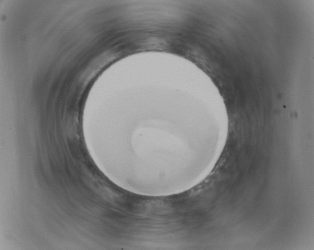 X0000076220146200610122058