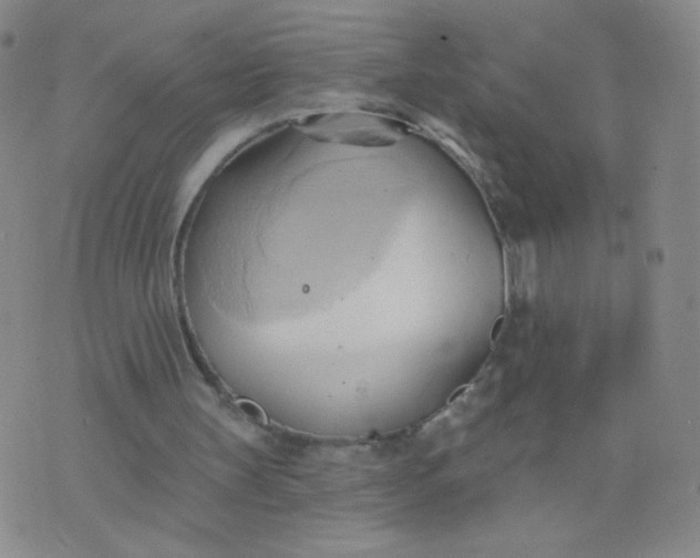 X0000076220147200610122058