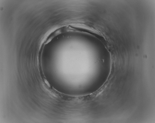 X0000076220148200610122058