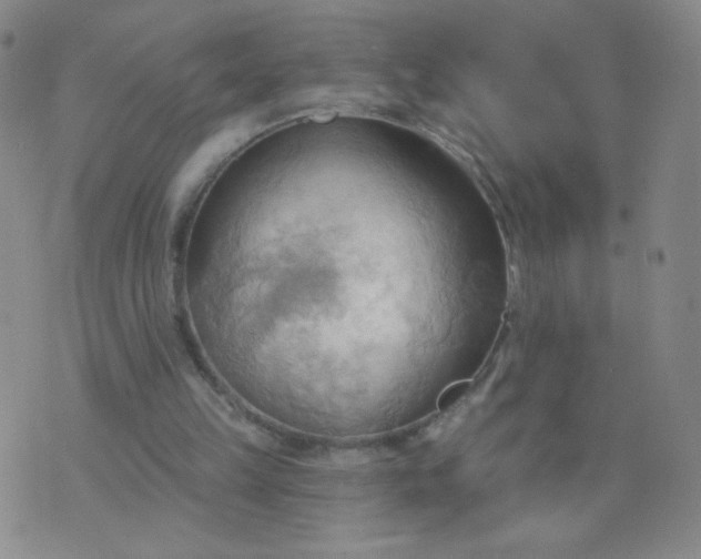 X0000076220149200610122058