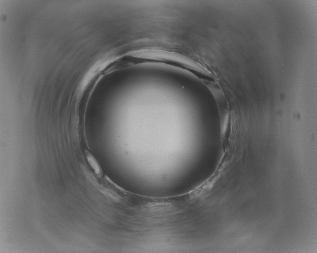 X0000076220150200610122058