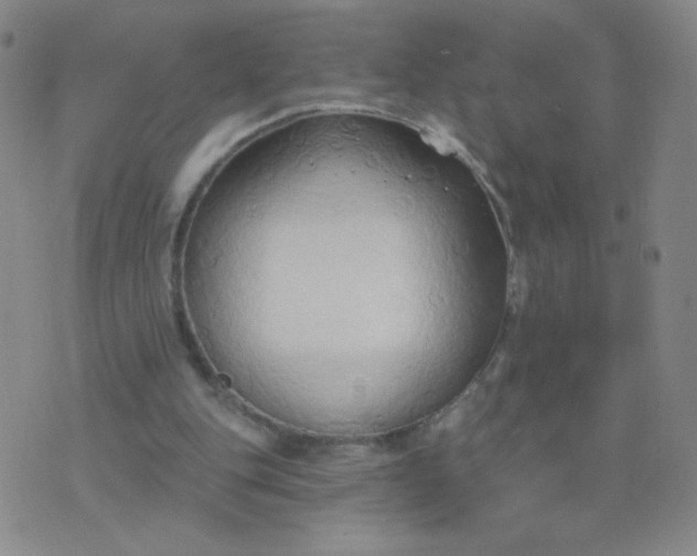 X0000076220151200610122058