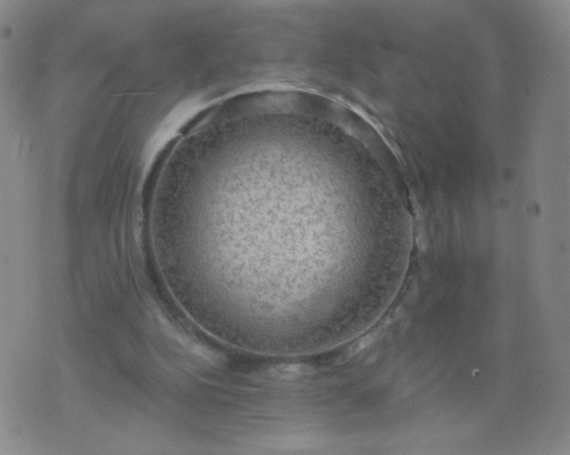 X0000076220152200610122058