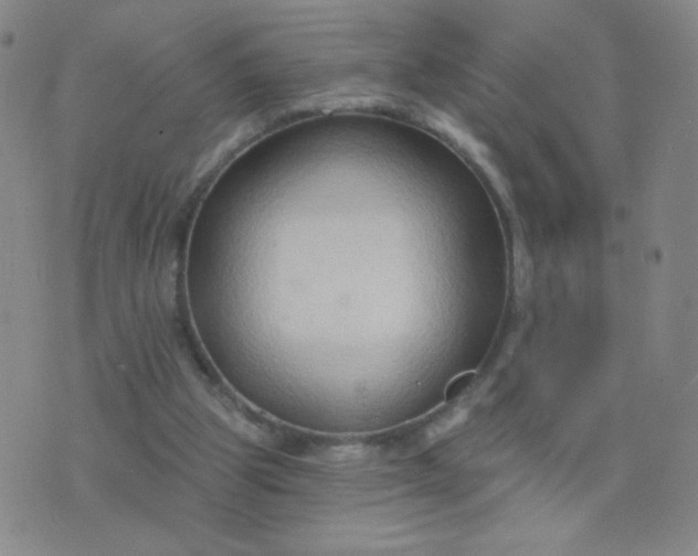 X0000076220153200610122058