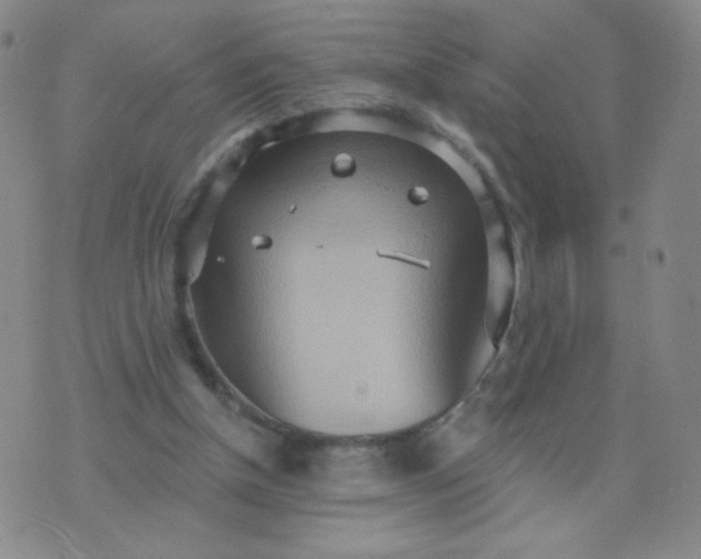 X0000076220154200610122058