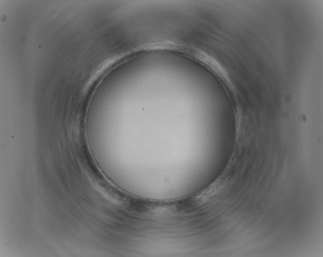 X0000076220155200610122058