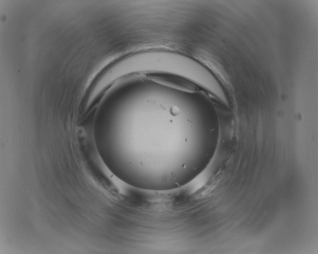 X0000076220156200610122058