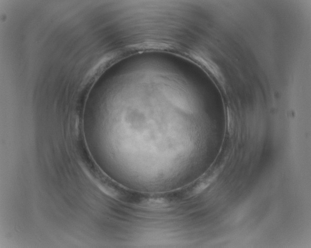 X0000076220157200610122058