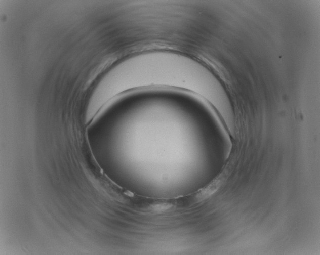 X0000076220158200610122059