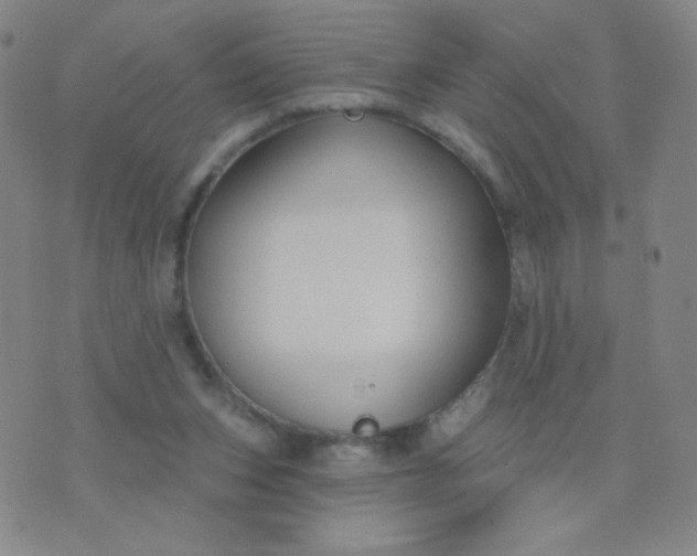 X0000076220159200610122059