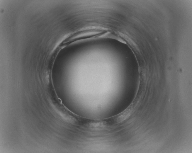 X0000076220160200610122059