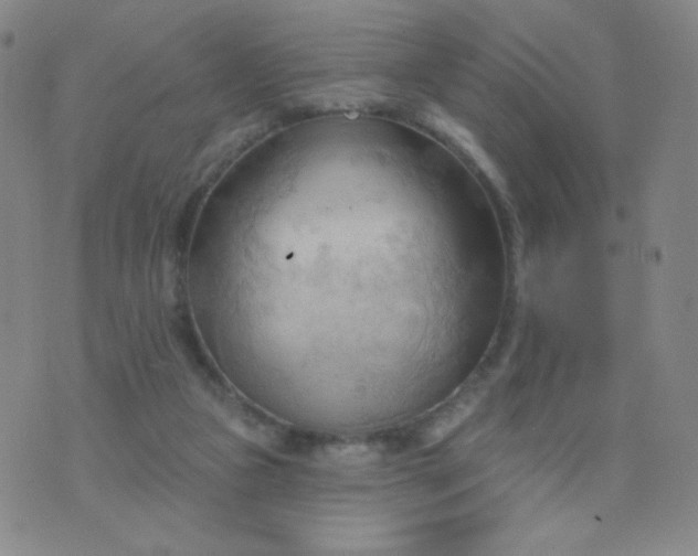 X0000076220161200610122059