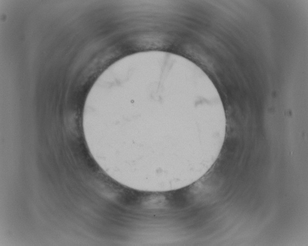 X0000076220162200610122059