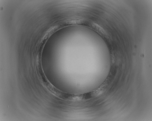 X0000076220163200610122059