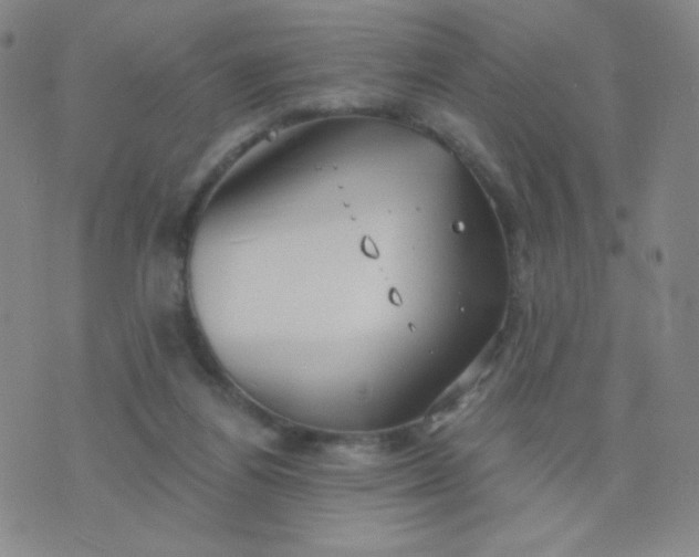 X0000076220164200610122059