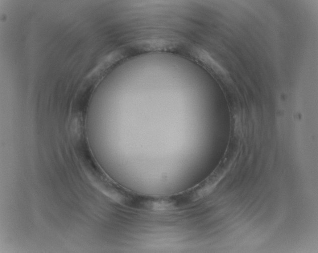 X0000076220165200610122059