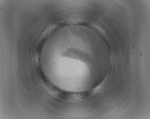 X0000076220166200610122059