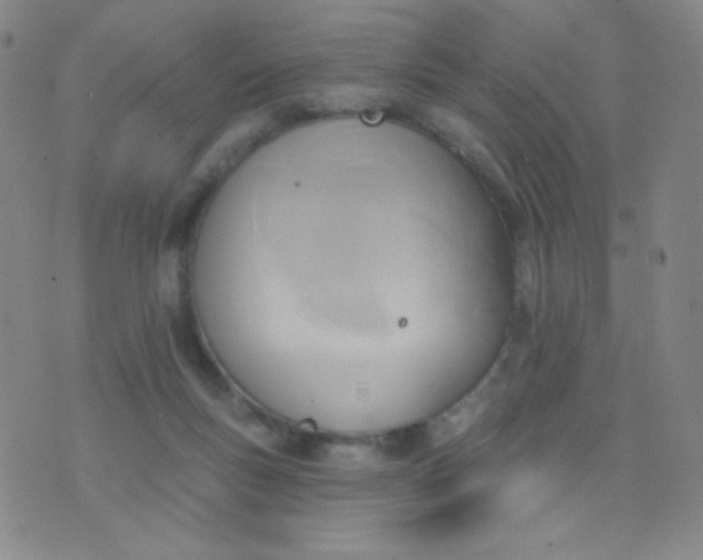 X0000076220167200610122059