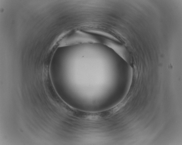 X0000076220168200610122059