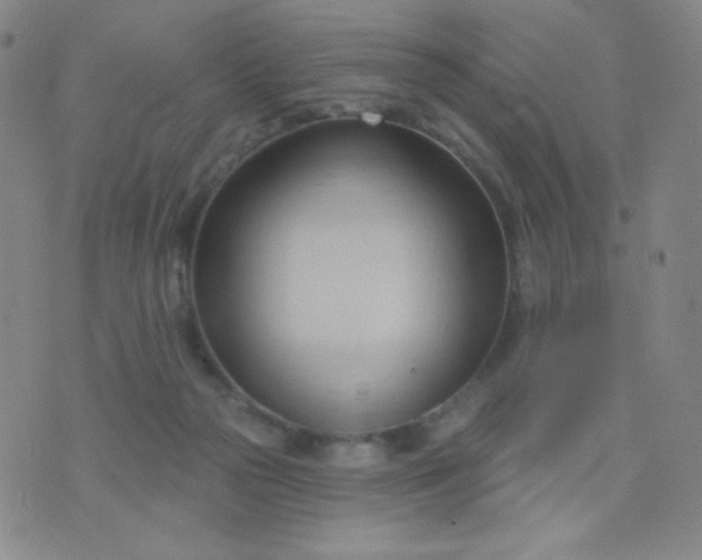 X0000076220169200610122059