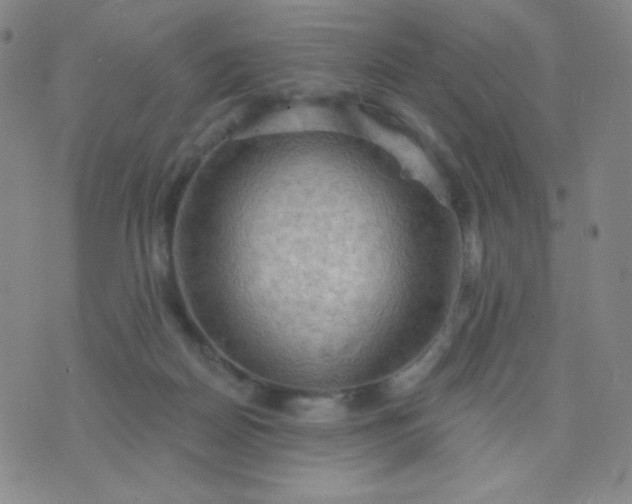 X0000076220170200610122059