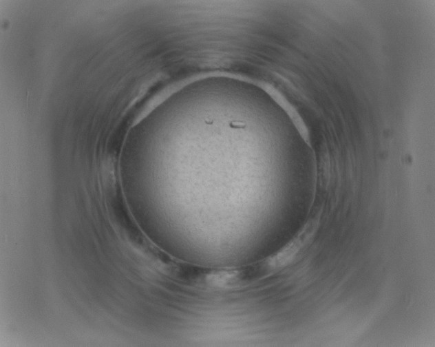 X0000076220172200610122059