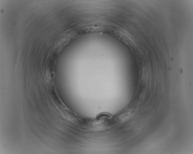 X0000076220173200610122059