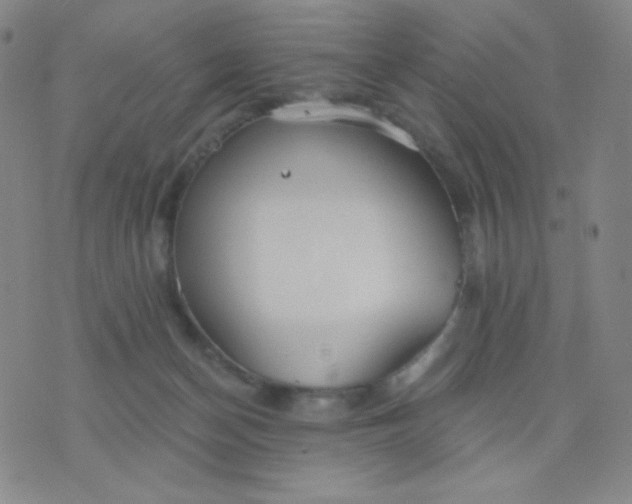 X0000076220174200610122059