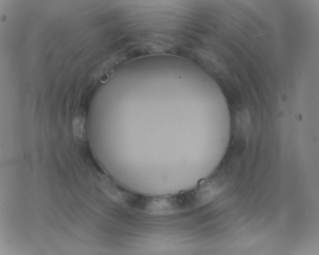 X0000076220177200610122059