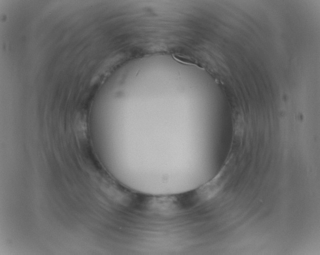 X0000076220179200610122059