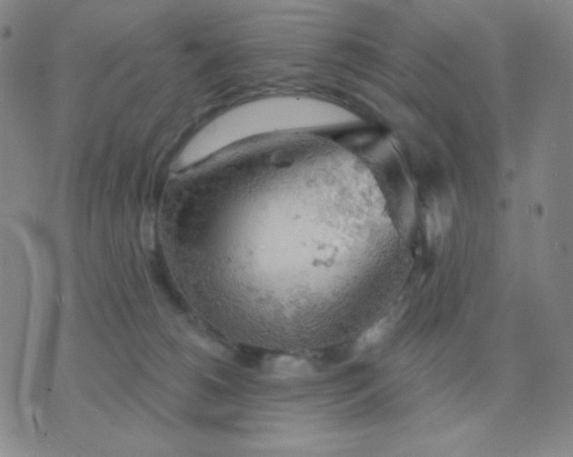 X0000076220180200610122059