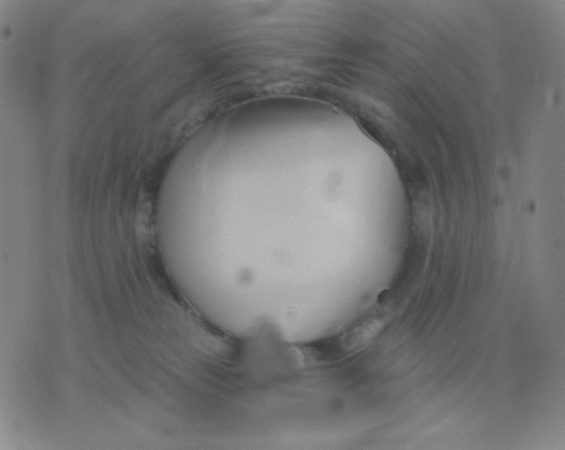 X0000076220181200610122059