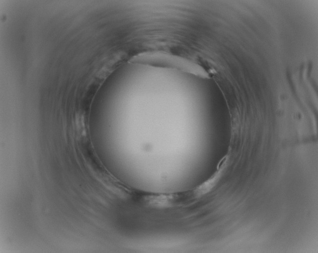 X0000076220182200610122059