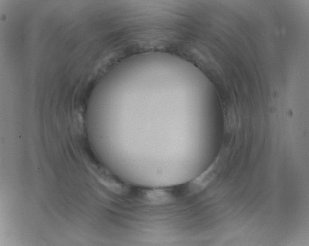 X0000076220183200610122059