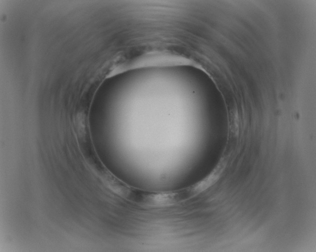 X0000076220184200610122059