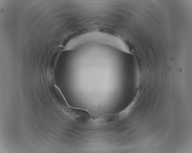 X0000076220186200610122059