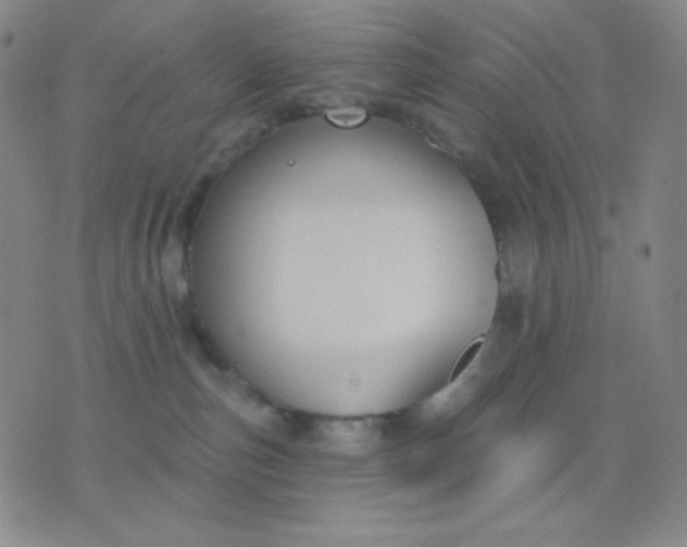 X0000076220187200610122059