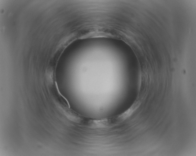 X0000076220188200610122059