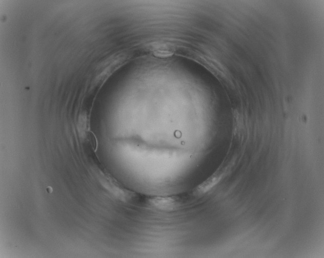 X0000076220189200610122059