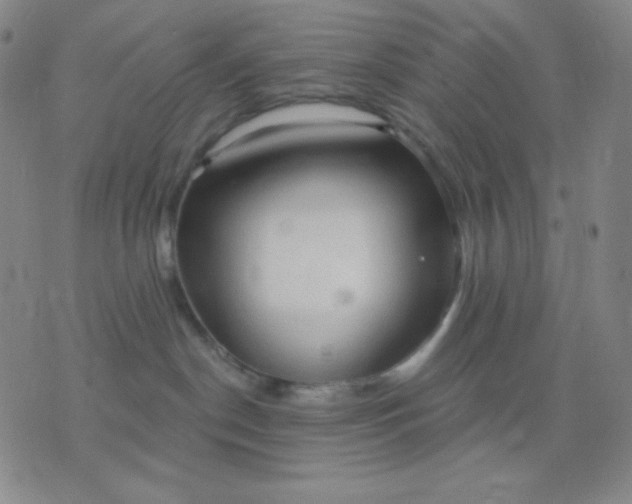 X0000076220190200610122059