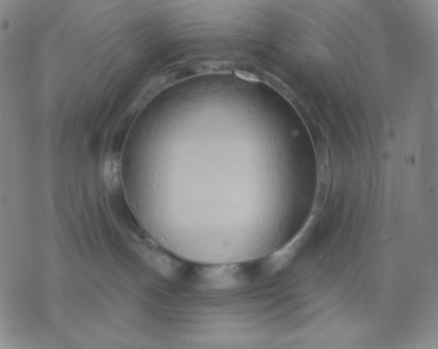 X0000076220191200610122059