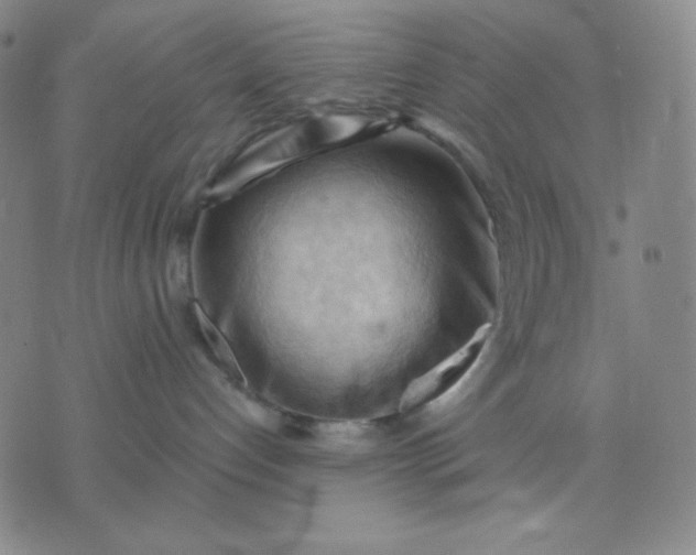 X0000076220192200610122059