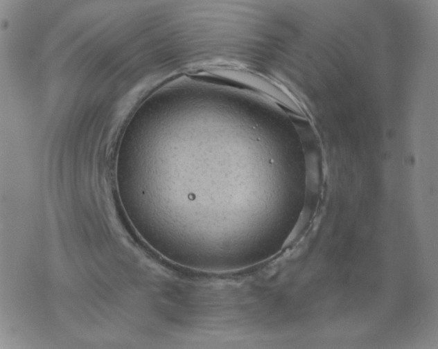 X0000076220193200610122058