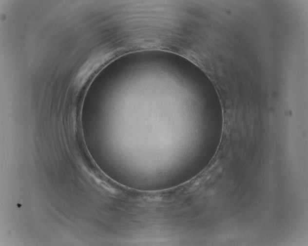 X0000076220194200610122058