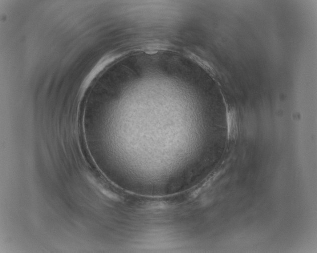 X0000076220195200610122058